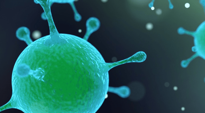 Coronavirus Update #2: Getting Supplies & Discussing the Quarantine