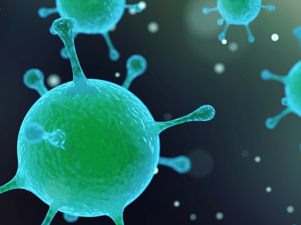 Coronavirus Update #2: Getting Supplies & Discussing the&nbsp;Quarantine